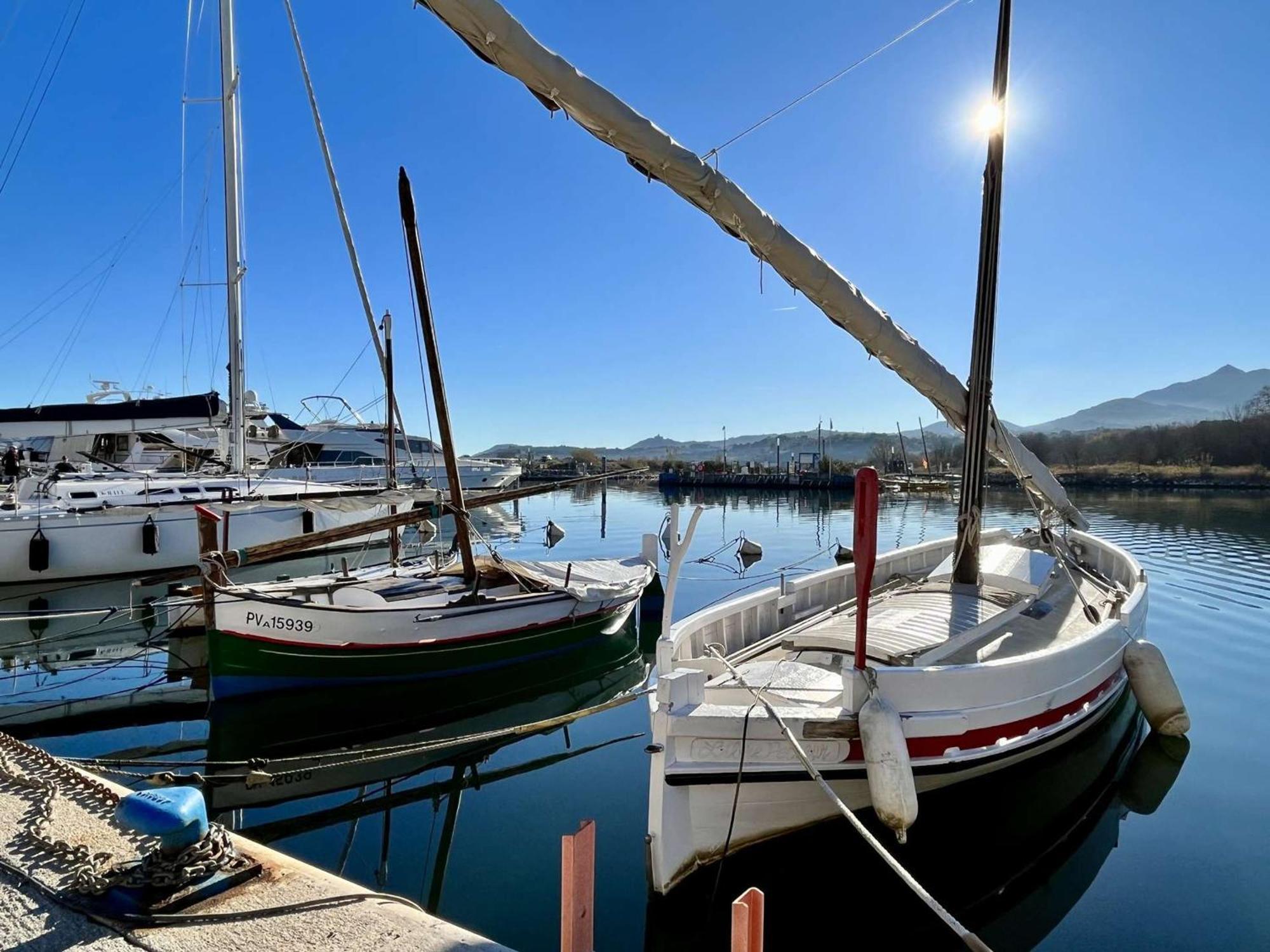 Location Appart 2 Pieces Au Port D'Argeles-Sur-Mer - Fr-1-225-56 Eksteriør billede